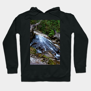 Taggerty Cascades #2 Hoodie